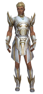Paragon Asuran armor m dyed front.png