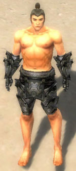 Warrior Obsidian armor m gray front arms legs.jpg