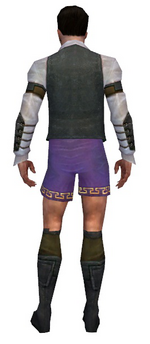 Mesmer Ascalon armor m gray back chest feet.png