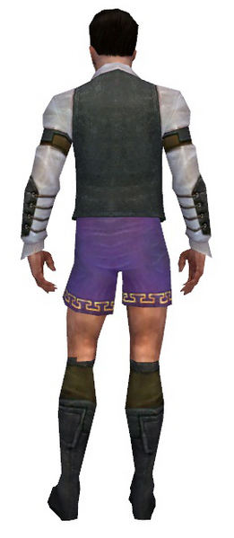 File:Mesmer Ascalon armor m gray back chest feet.png