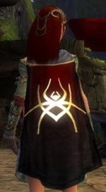 Guild Eternal Misfits cape.JPG
