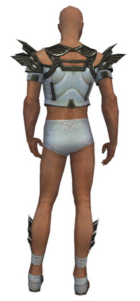 File:Paragon Ancient armor m gray back chest feet.png