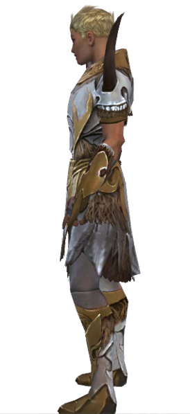 File:Paragon Norn armor m dyed left.png