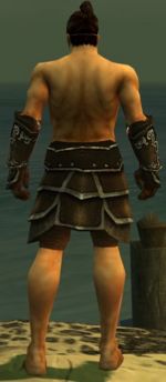 Warrior Shing Jea armor m gray back arms legs.jpg