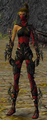 Assassin Elite Kurzick armor Acquired: Yes Runed up: Yes (Mask: No)