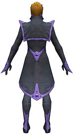 Elementalist Tyrian armor m dyed back.jpg