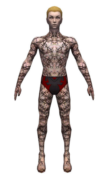 File:Necromancer Elite Scar Pattern armor m dyed front.jpg