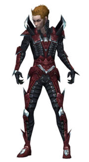 Necromancer Profane armor m.jpg