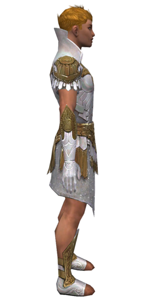 File:Paragon Elonian armor m dyed right.png