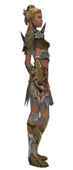 Paragon Norn armor f dyed right.png