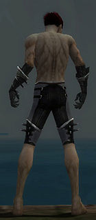 Necromancer Kurzick armor m gray back arms legs.jpg