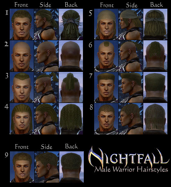 File:Warrior nightfall hair style m.jpg