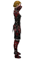 Necromancer Elite Luxon armor f dyed right.jpg