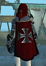 Guild Order Of Teutonic Knights cape.jpg