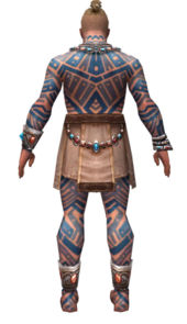 Monk Labyrinthine armor m dyed back.jpg