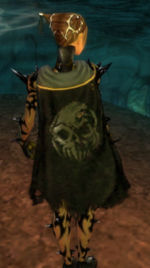 Guild Phantom Coven cape.jpg