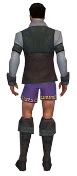 Mesmer Performer armor m gray back chest feet.png