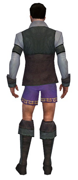 File:Mesmer Performer armor m gray back chest feet.png