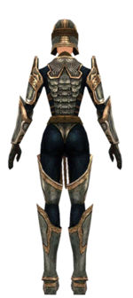 Warrior Sunspear armor f dyed back.jpg