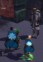 Guild Winter Guardian Knights cape.jpg