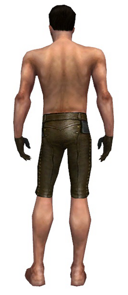 File:Mesmer Monument armor m gray back arms legs.png