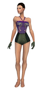 Mesmer Shing Jea armor f gray front arms legs.png