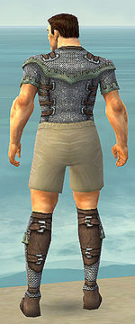 Warrior Tyrian armor m gray back chest feet.jpg