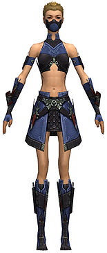 Assassin Elite Canthan armor f dyed front.jpg