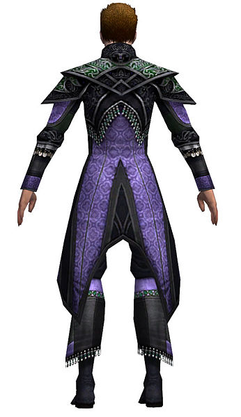 File:Elementalist Elite Luxon armor m dyed back.jpg