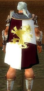 Guild Hall Of Exiled Kings cape.jpg