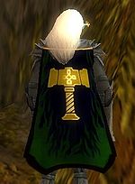 Guild Knights Of Moradin cape.jpg