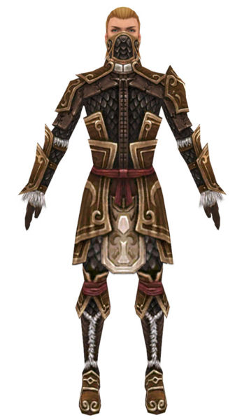 File:Ranger Elite Canthan armor m dyed front.jpg