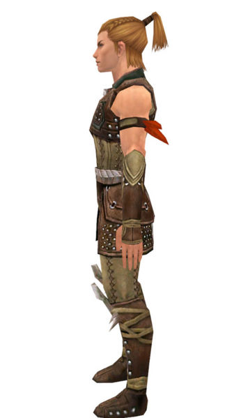 File:Ranger Studded Leather armor m dyed left.jpg