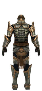 Warrior Sunspear armor m dyed back.jpg