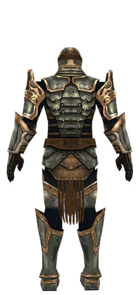 File:Warrior Sunspear armor m dyed back.jpg