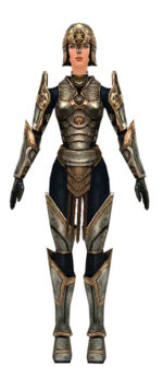 Warrior Sunspear armor f dyed front.jpg