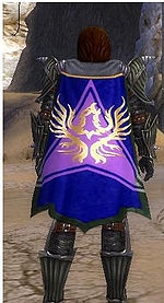 Guild Odavs Valiant Legion cape.jpg