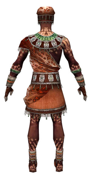 File:Ritualist Elite Exotic armor m dyed back.jpg