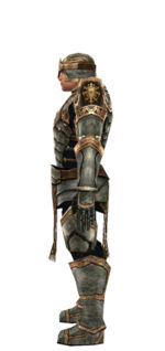 Warrior Sunspear armor m dyed left.jpg