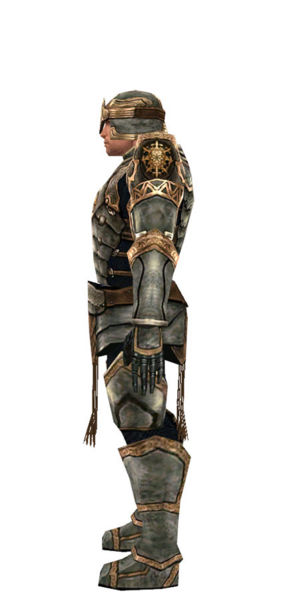 File:Warrior Sunspear armor m dyed left.jpg