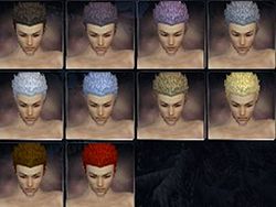 Elemental factions hair color m.jpg
