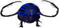Racing Beetle.jpg