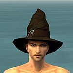 Wicked Hat m front.jpg