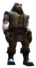 Ogden Stonehealer default armor.jpg