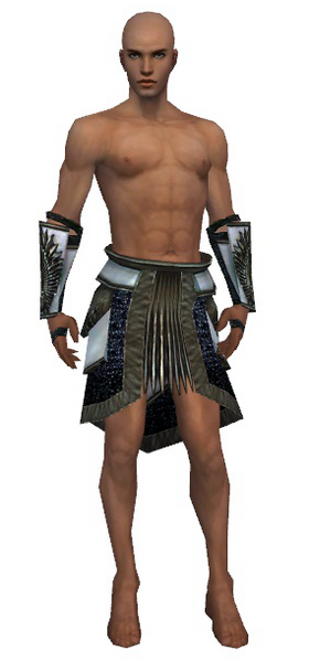 File:Paragon Obsidian armor m gray front arms legs.png