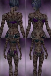 Screenshot Necromancer Elite Scar Pattern f dyed Purple.jpg