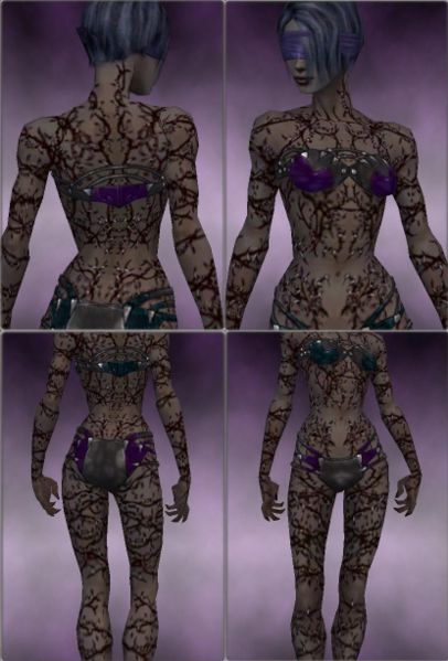 File:Screenshot Necromancer Elite Scar Pattern f dyed Purple.jpg