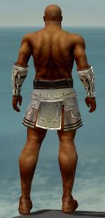 Warrior Istani armor m gray back arms legs.jpg