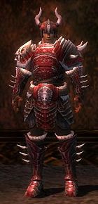 Warrior Norn armor m dyed front.jpg