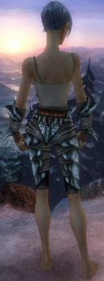Ranger Elite Drakescale armor f gray back arms legs.jpg
